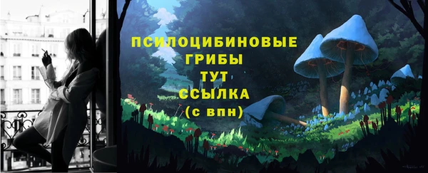 амф Усмань